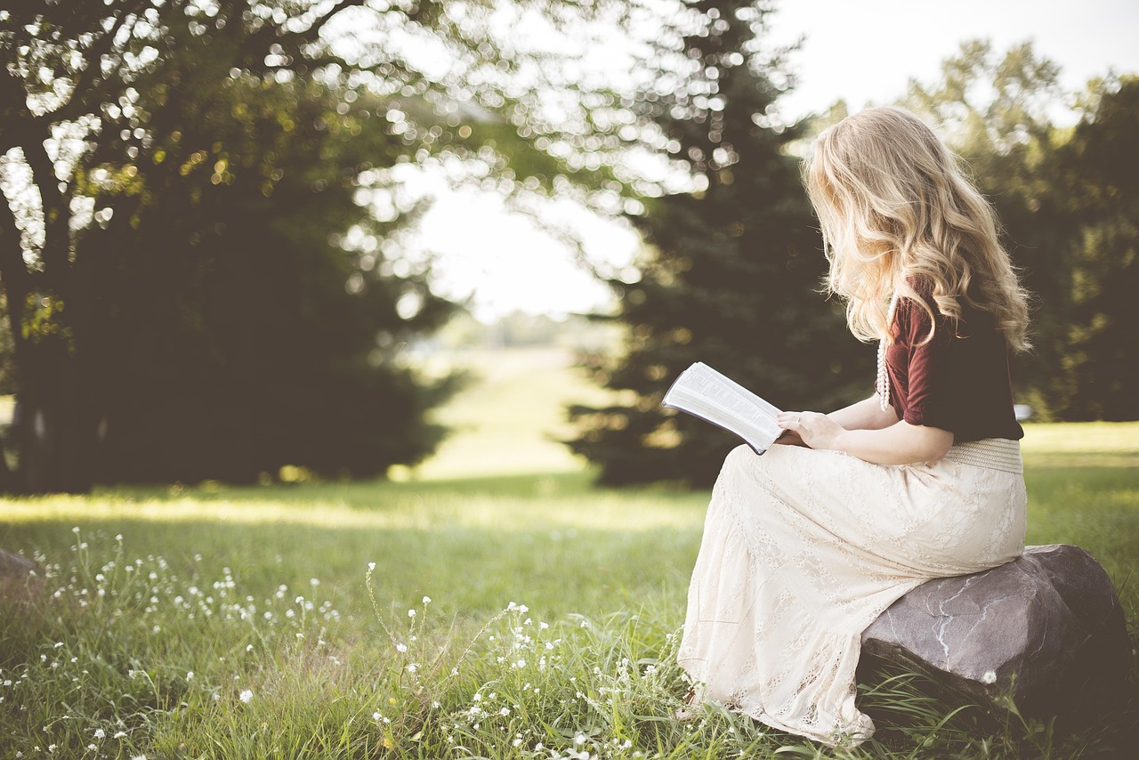 Gezellige leeshoek met boekenplanken en zomerdecor. Gezellige leeshoek met boekenplanken en zomerdecor.