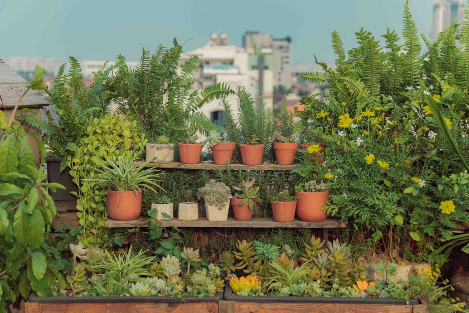 Vertical herb garden with summer herbs.