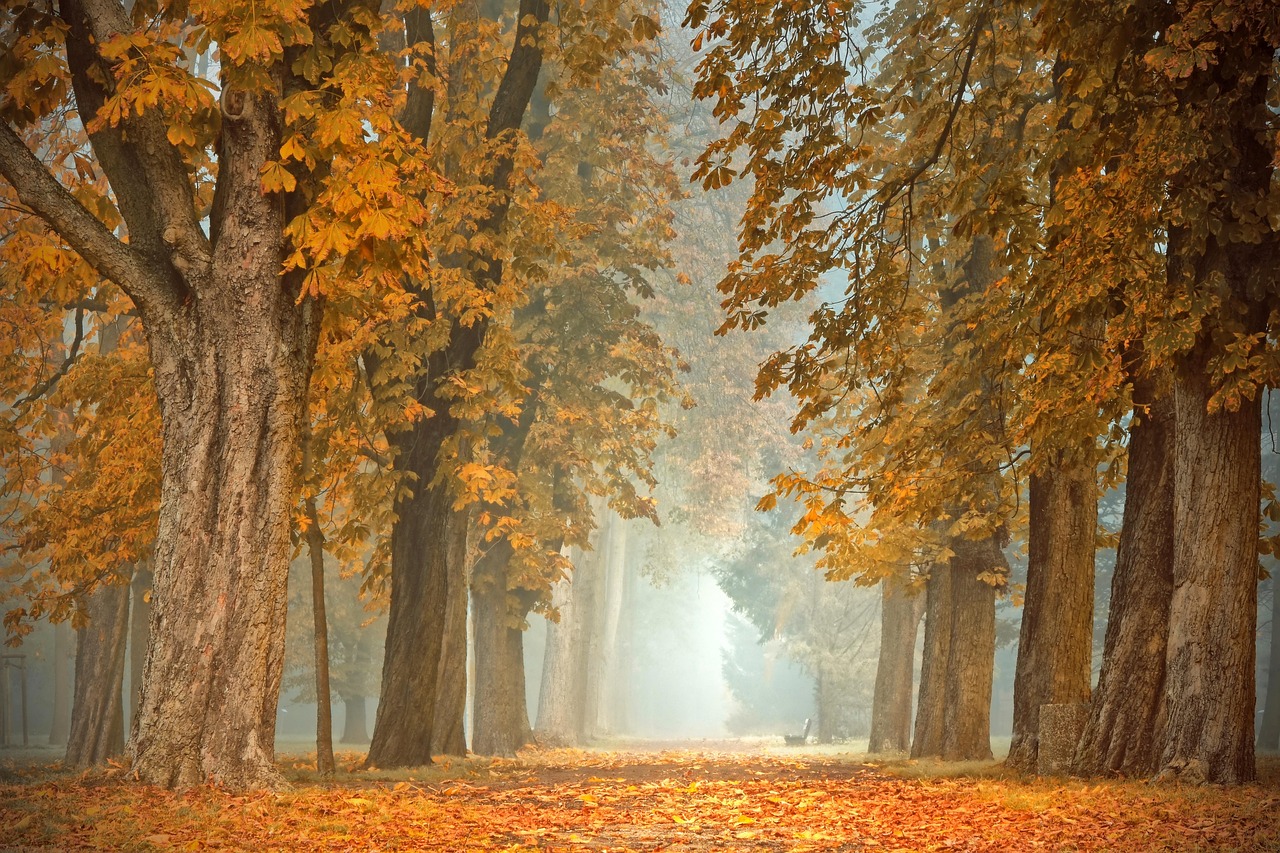 Gezellige herfstkaarsen en boeken bij raam. Gezellige herfstkaarsen en boeken bij raam.
