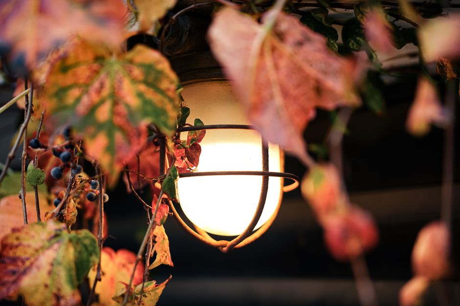Gezellige woonkamer verlicht met warme herfstlampen. Gezellige woonkamer verlicht met warme herfstlampen.